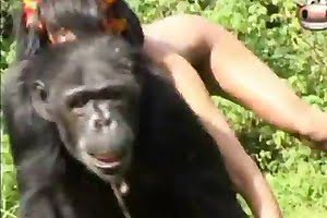 365bra3.vip - Mulheres transando com macaco